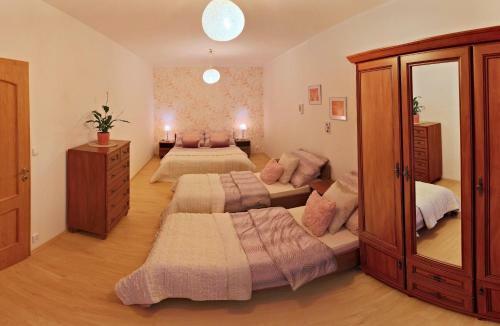 Apartm�ny Bran�?kov