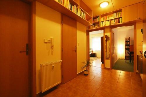 Ski Apartment