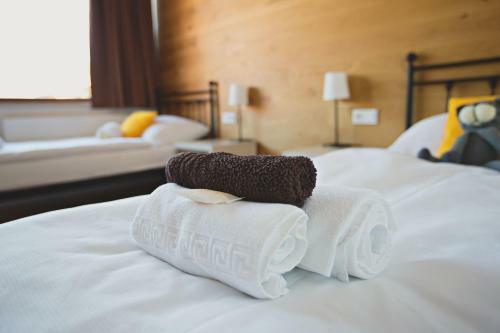 Hostal Statek ?esk� L�pa Myslovice
