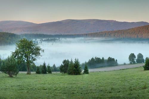 Hostal Statek ?esk� L�pa Myslovice