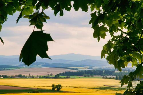 Hostal Statek ?esk� L�pa Myslovice