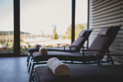 Hostal Statek ?esk� L�pa Myslovice