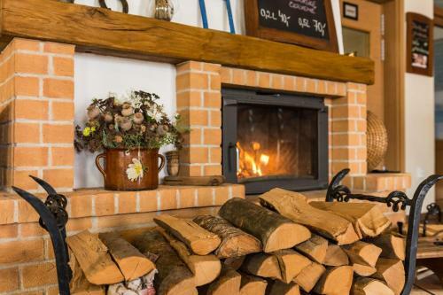 Hostal Statek ?esk� L�pa Myslovice