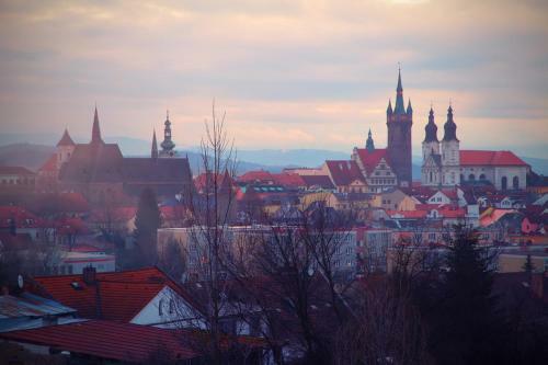Hostal Statek ?esk� L�pa Myslovice