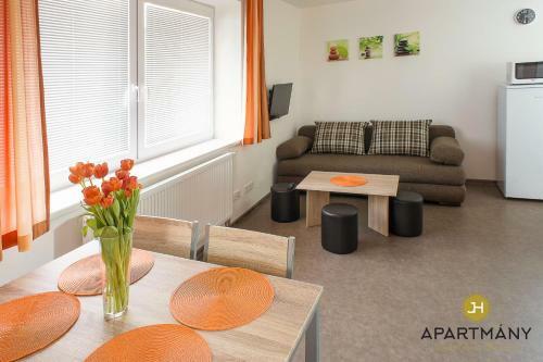 Apartm�ny Jind?ich?v Hradec