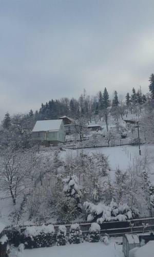 Apartamento Ubytov�n� U Krpc?
