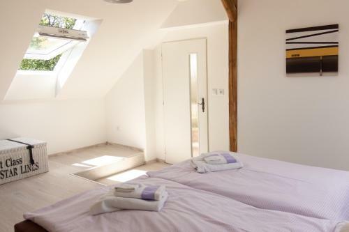 Apartm�n Doubravice