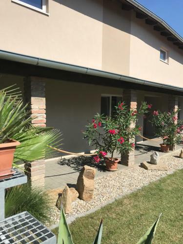 Hostal Ubytov�n� U Parku