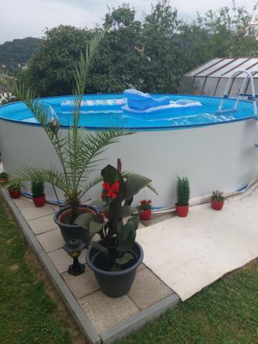 Apartman Pavla