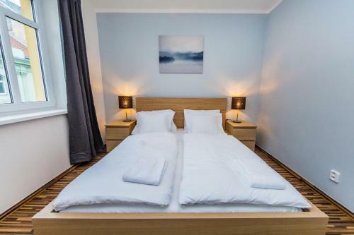 Apartment Heleny Mal�?ov�
