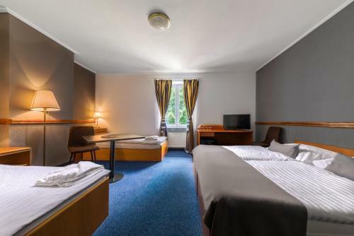 Hotel Carl-inn