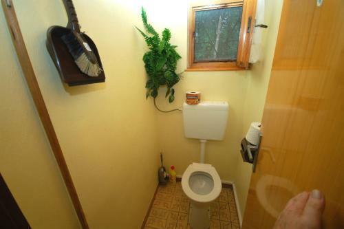 Holiday Home In Pisek/s�db�hmen 30473