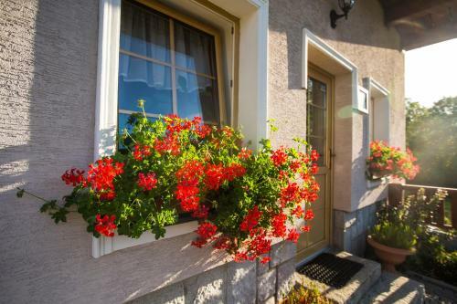 Hostal Penzion Pod ?er�kem