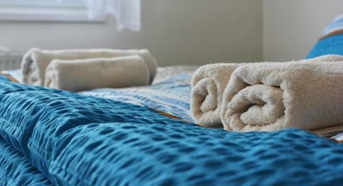 Deluxe Apartment Hornopoln�