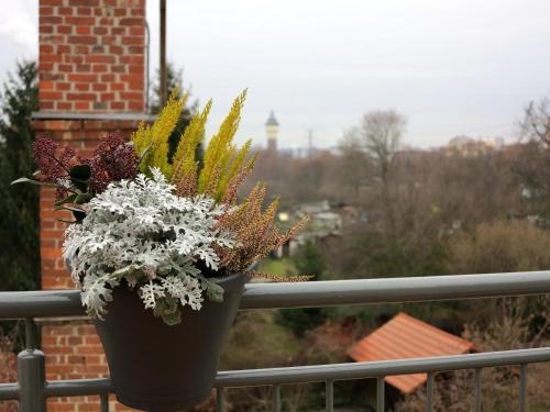 Apartamento Sv. Petr (st. Peter)