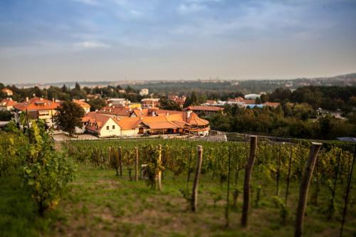 Apartm�ny Vinice Salabka