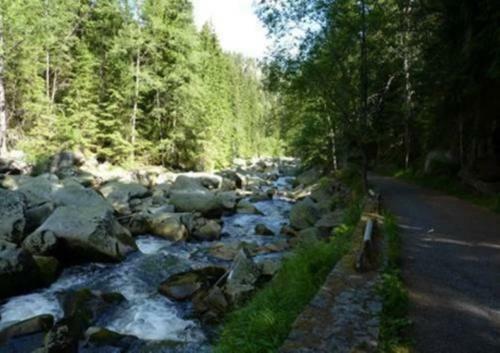Hostal Turnerova Chata