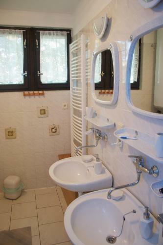 Hostal Farma Basarovi