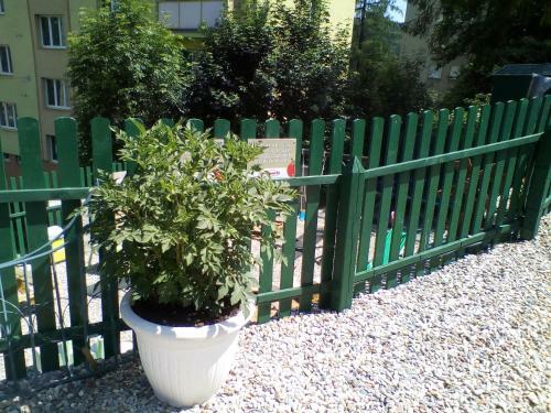 Hostal Penzion Pomodoro