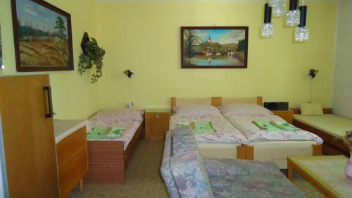 Hostal Pension Dana