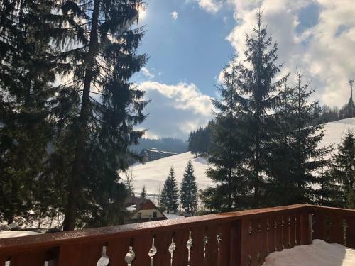 Lodge Chalupa Na Leskov�