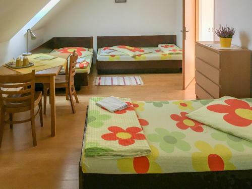 Hostal Penzion V Kout?