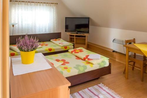 Hostal Penzion V Kout?