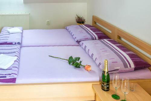 Hostal Penzion V Kout?