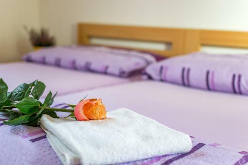 Hostal Penzion V Kout?