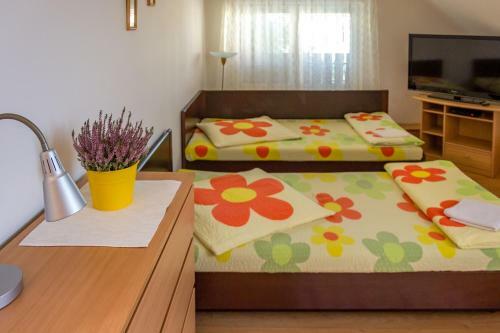 Hostal Penzion V Kout?