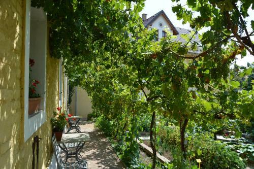 Agroturismo Statek Lun�kov