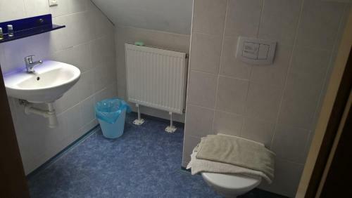 Hostal Penzion U Hlad?