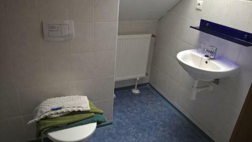 Hostal Penzion U Hlad?