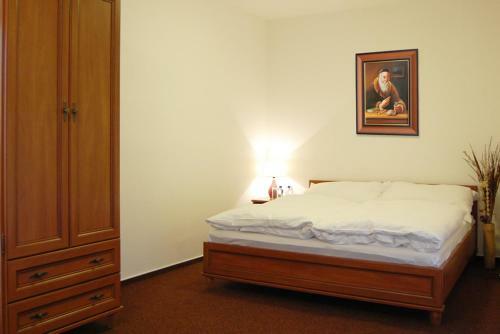 Hostal Penzion U Kostela