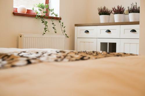 Hostal Penzion Recall