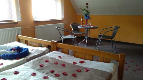 Hostal Penzion Kongo