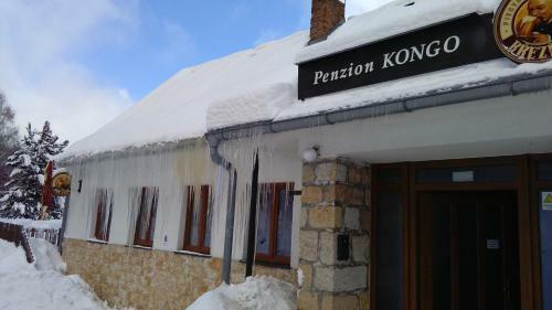 Hostal Penzion Kongo
