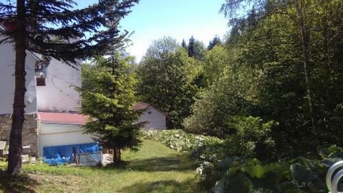 Hostal Penzion Kongo