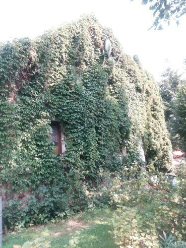 Hostal Pension Jana Tatrovice