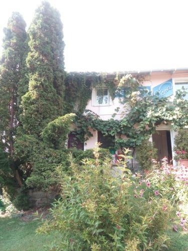 Hostal Pension Jana Tatrovice