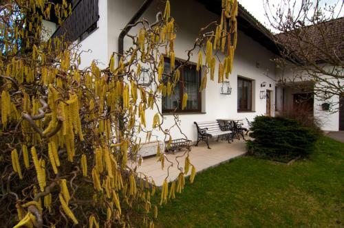 Apartm�ny Pod Koz�kovem
