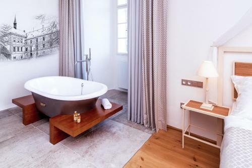 Hotel Z�mek Svijany