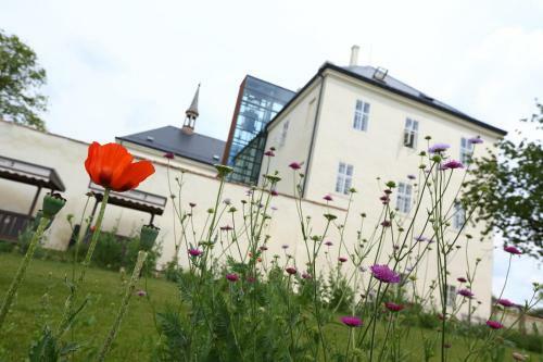 Hotel Z�mek Svijany