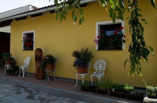 Hostal Penzion U Candru