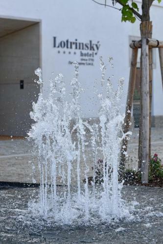 Lotrinsk� Hotel