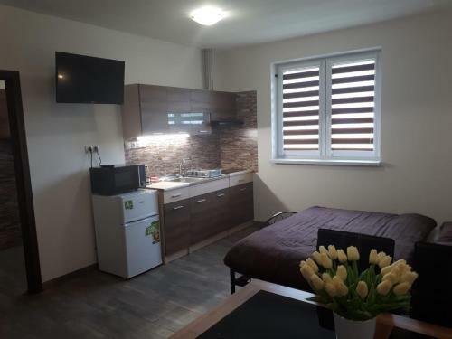 Velkolosinsk� Apartm�ny