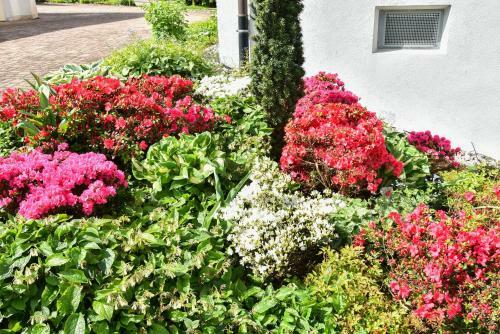 Apartamento Ferienwohnung Liebich