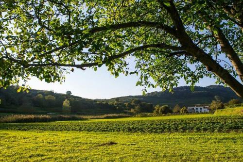 Apartamento Ferienwohnung Schambachhof