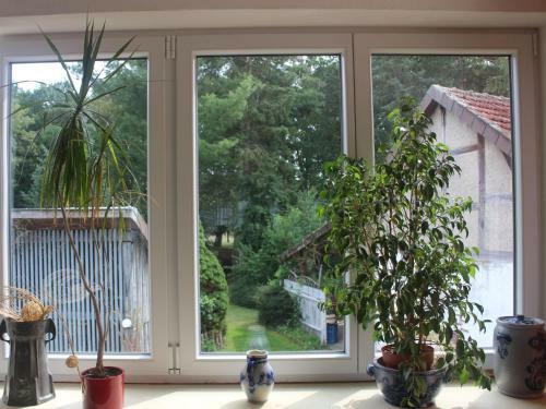Apartamento Ferienwohnung "am Borkener See"