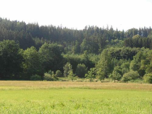 Ferienhaus Am Haselbach